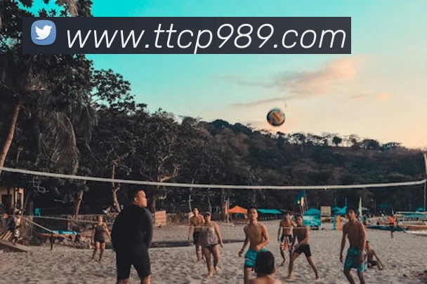 天天彩票官方网站平台生态图